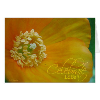 Celebrate Life Cards