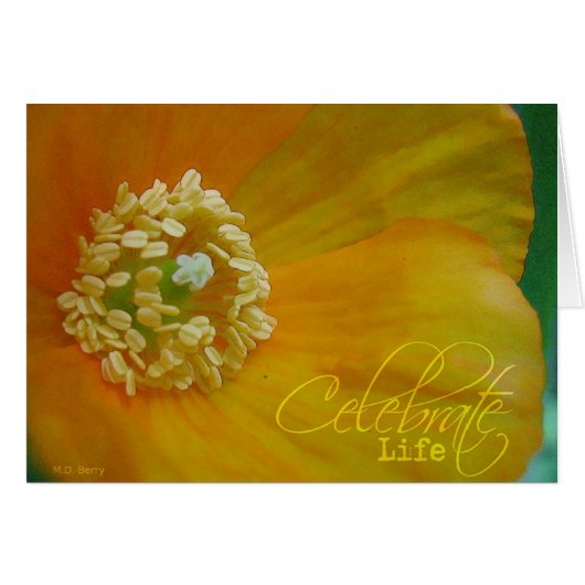 Celebrate Life Cards (Front Horizontal)