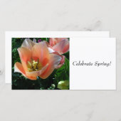 Celebrate Spring! (Front/Back)