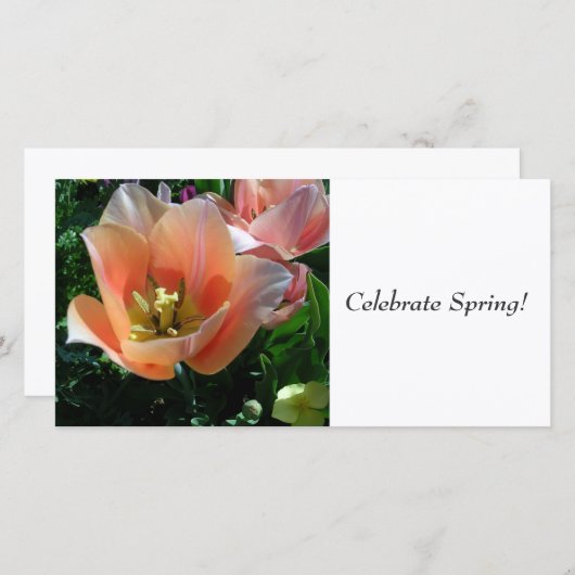Celebrate Spring! (Front/Back)