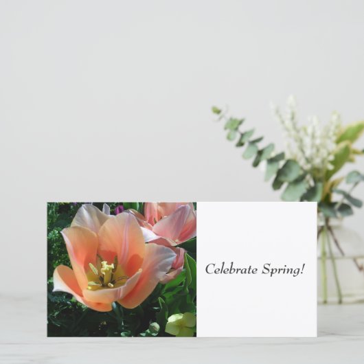 Celebrate Spring! (Standing Front)