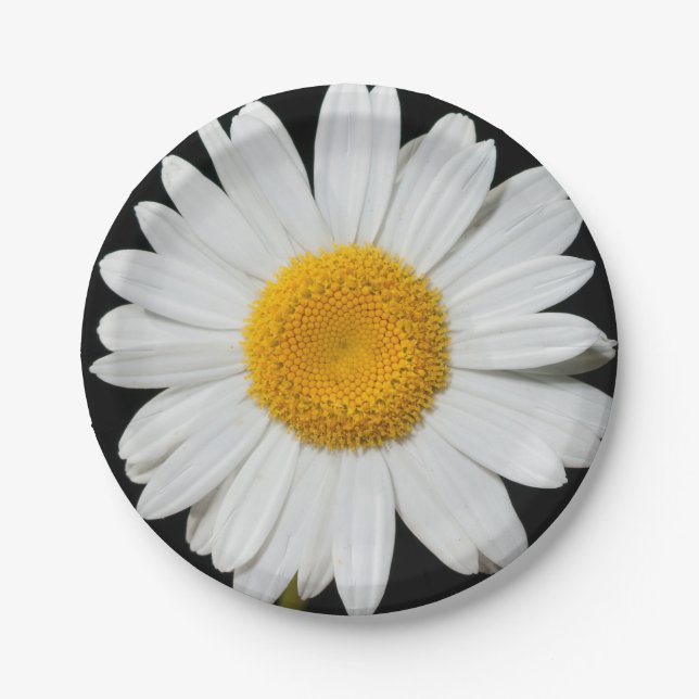 Celebrate Spring with a Huge White Daisy Paper Plates (Front)