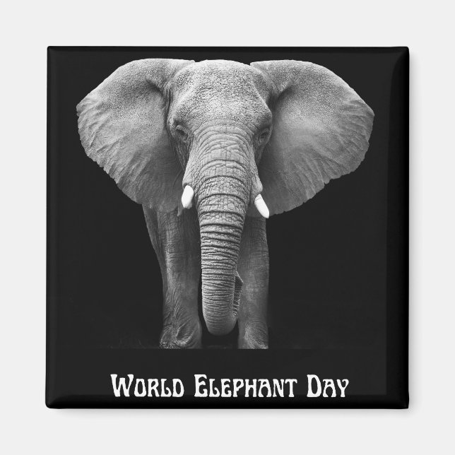 Celebrate World Elephant Day: Majestic Design  Magnet (Front)
