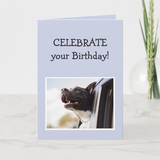 Celebrate Your Birthday Fun Exciting Happy Dog Car Card (Front)