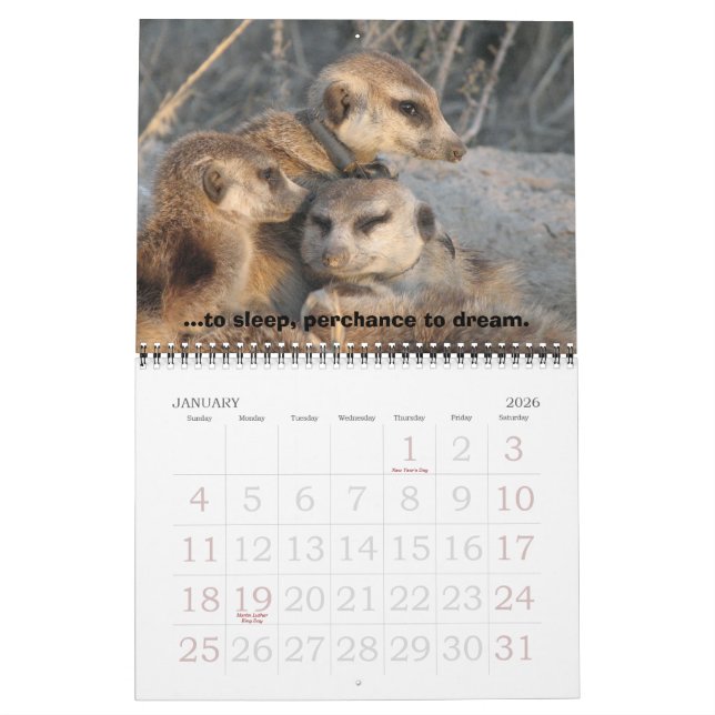 Celebrate Zaphod - Calendar (Jan 2026)