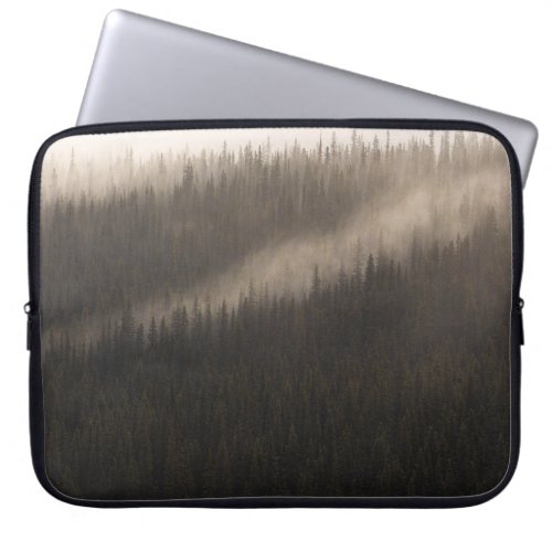 CELEBRATING 100 PHOTOS WITH A LITTLE FOG IN A FORE LAPTOP SLEEVE