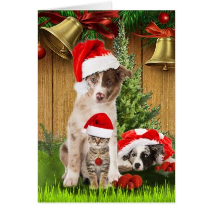 Celebrating Christmas with pet-lovers Card