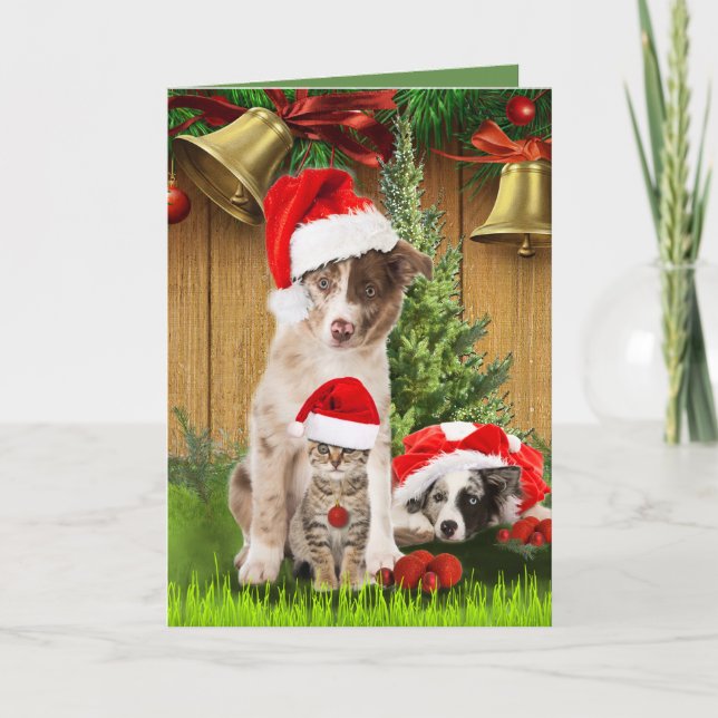 Celebrating Christmas with pet-lovers Holiday Card (Front)