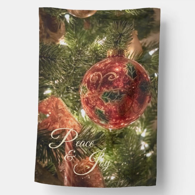 Celebrating Christmas XX House Flag (Front)