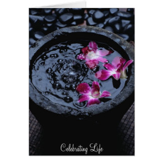 Celebrating Life Cards