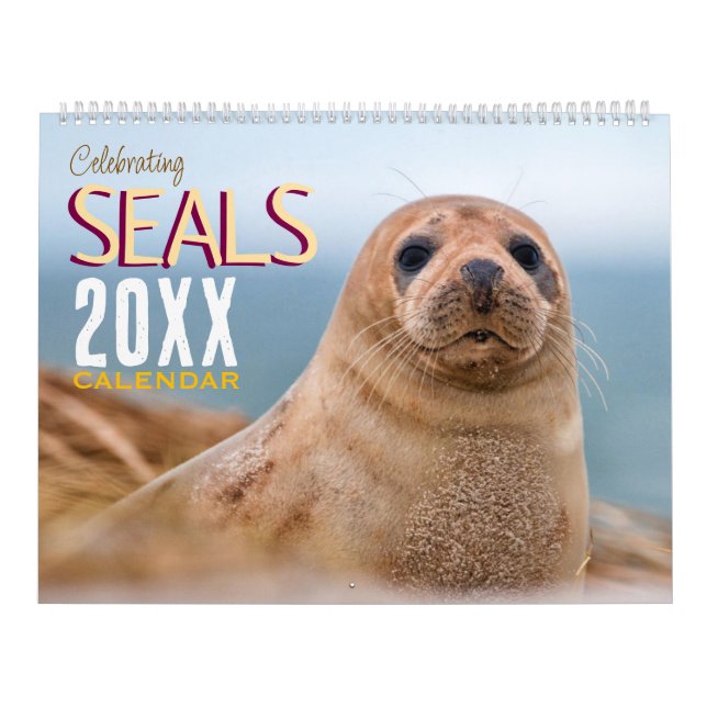 Celebrating Seals Wall Calendar 2026 Wildlife (Cover)