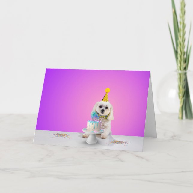 Celebration Greeting Card - Blank Inside 5x7 (Front)