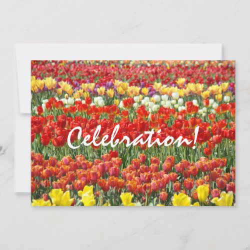 Celebration Invitaions End of Year Party Tulips Invitation
