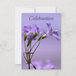 Celebration Invitation