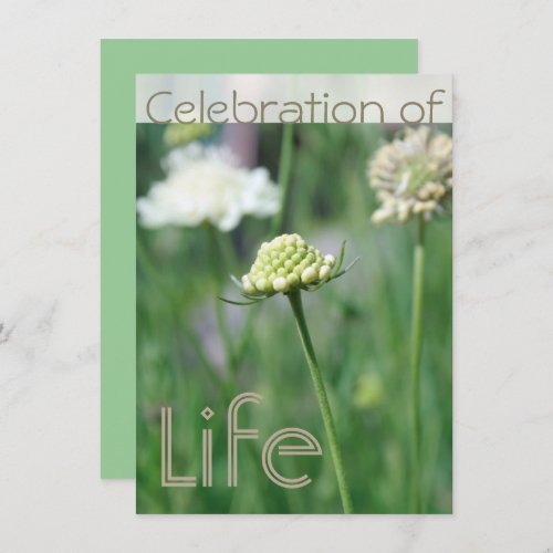 Celebration of Life 1 Floral Landscape Invitation