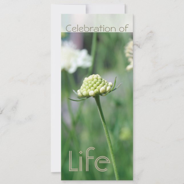 Celebration of Life 2 Floral Landscape Invitation (Front)