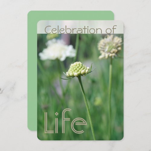 Celebration of Life 3 Floral Landscape Invitation