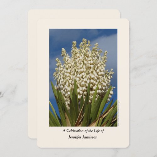 Celebration of Life Floral Yucca in Bloom Invitation