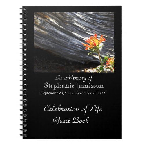 Celebration of Life Guest Book Indian Paintbrush Notebook
