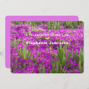 Celebration of Life, Ice Plant Purple Flowers Invitation