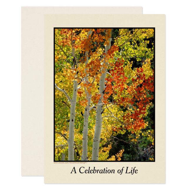 Celebration of Life Invitation, Three Aspens