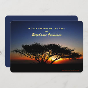 Celebration of Life, Lone Acacia Tree at Sunrise Invitation