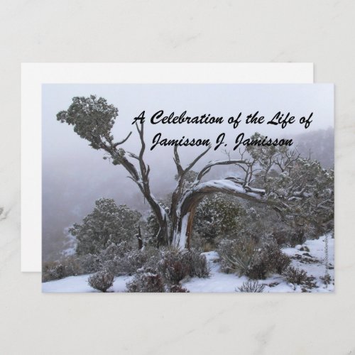 Celebration of Life Memorial Service Winter Tree Invitation