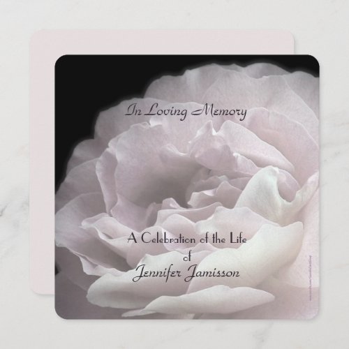 Celebration of Life Square Pale Pink Rose Floral Invitation