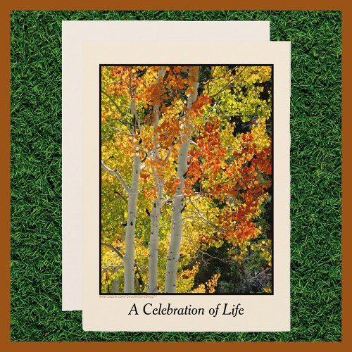 Celebration of Life Three Aspens in Autumn Invitation