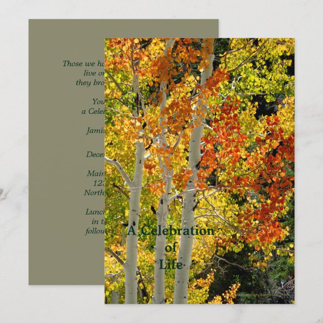 Celebration of Life Three Aspens in Autumn Invitation (Front/Back)