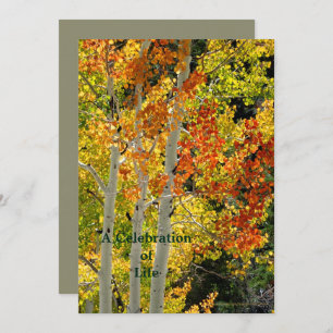 Celebration of Life Three Aspens in Autumn Invitation