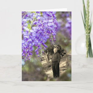 Celebration of Life Wisteria Announcement