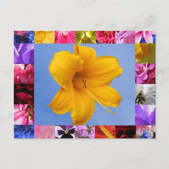 Celebration of Spring Postcard (Front)