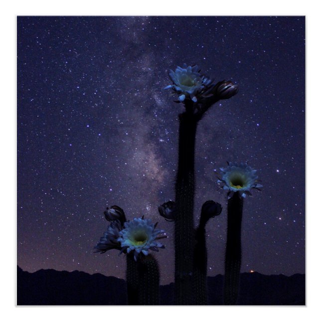 Celebration Under the Stars Poster (Front)