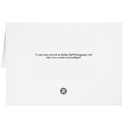 Celebrity Silhouette Cruise to Paradise (Back Horizontal)