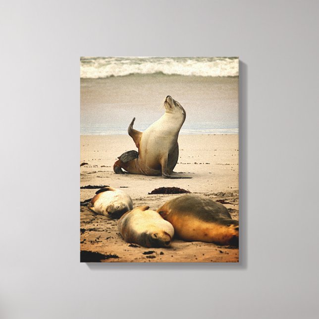 Celebrity Status - No Photos Canvas Print (Front)