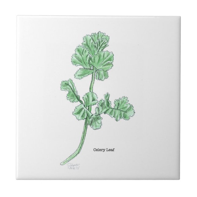 Celery Leaf Art Ceramic Tile (Front)