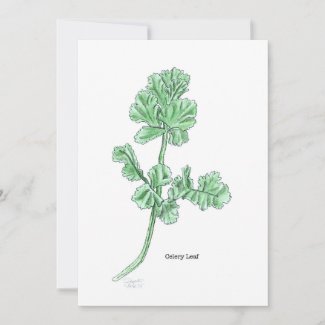 Invitation card printed with a botanical illustration of a celery leaf plant
