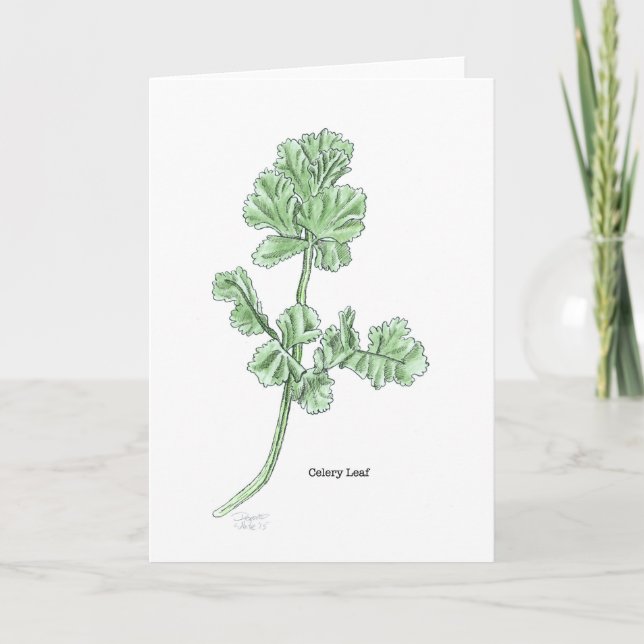 Celery Leaf Letterpress Thank You Card (Front)