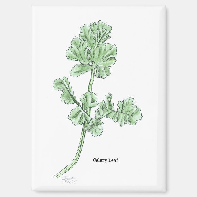 Celery Leaf Magnet (Front)
