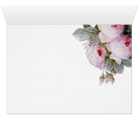 CÉLESTE CARDS (Inside Horizontal (Bottom))