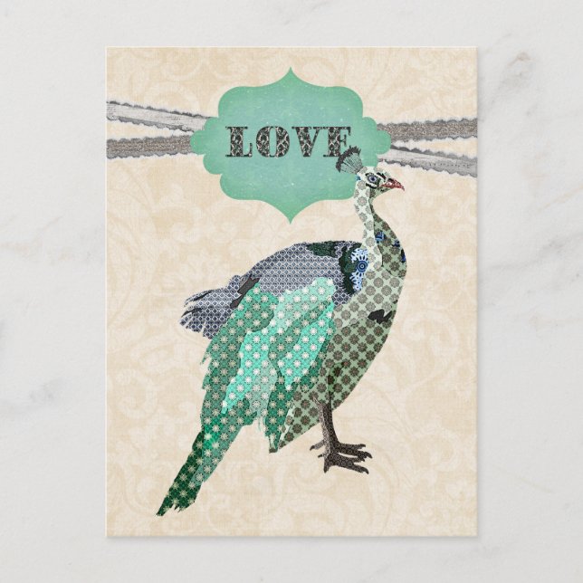 Celeste Peacock Love   Postcard (Front)