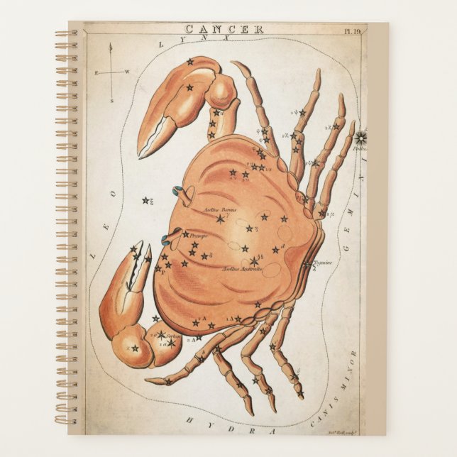 Celestial Cancer Zodiac Planner (Front)