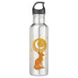 Celestial Desert Fox – Moon and Stars Cosmic  Stainless Steel Water Bottle