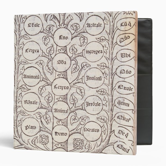 Celestial ladder binder (Front/Inside)