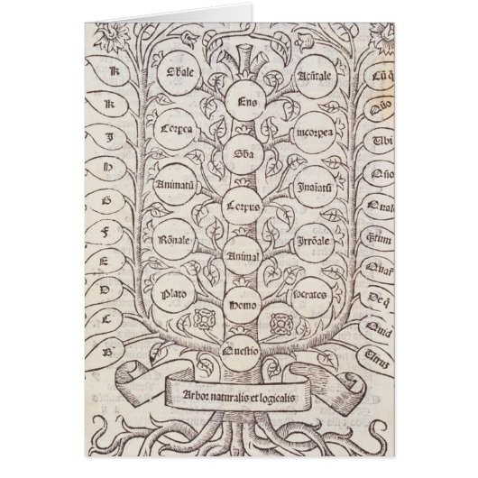 Celestial ladder cards (Front)