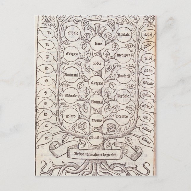 Celestial ladder postcard (Front)