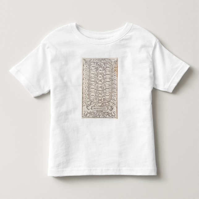Celestial ladder toddler t-shirt (Front)