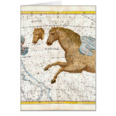 Celestial Map Pegasus (Front)