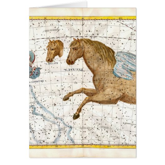Celestial Map Pegasus Cards (Front)